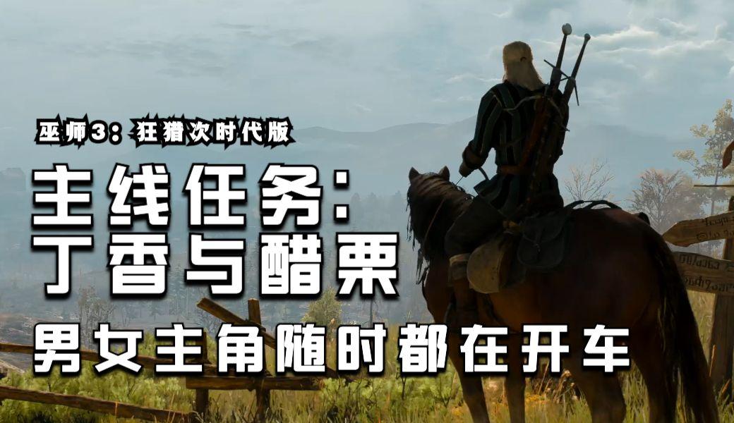 玩转巫师3诺维格瑞：全任务触发条件详解！