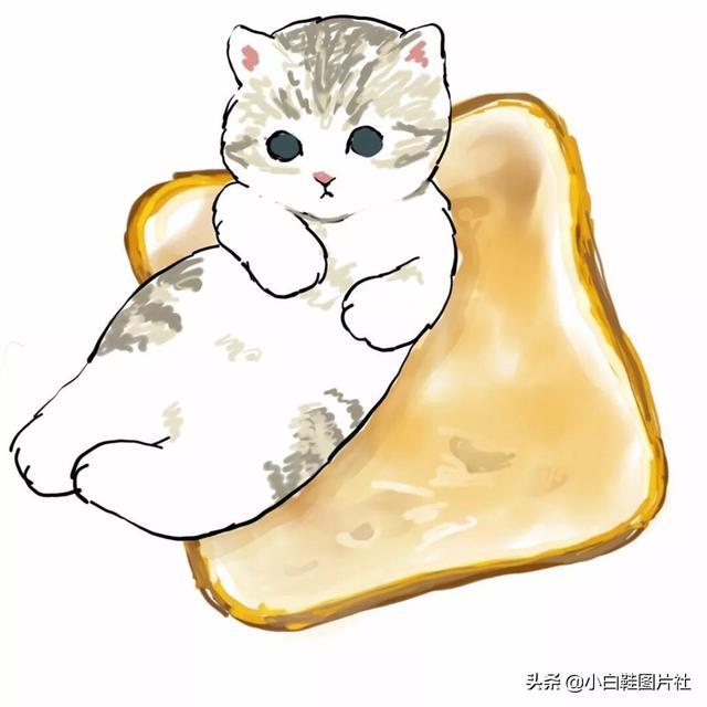 动漫黄黄动动态图_黄黄的漫画