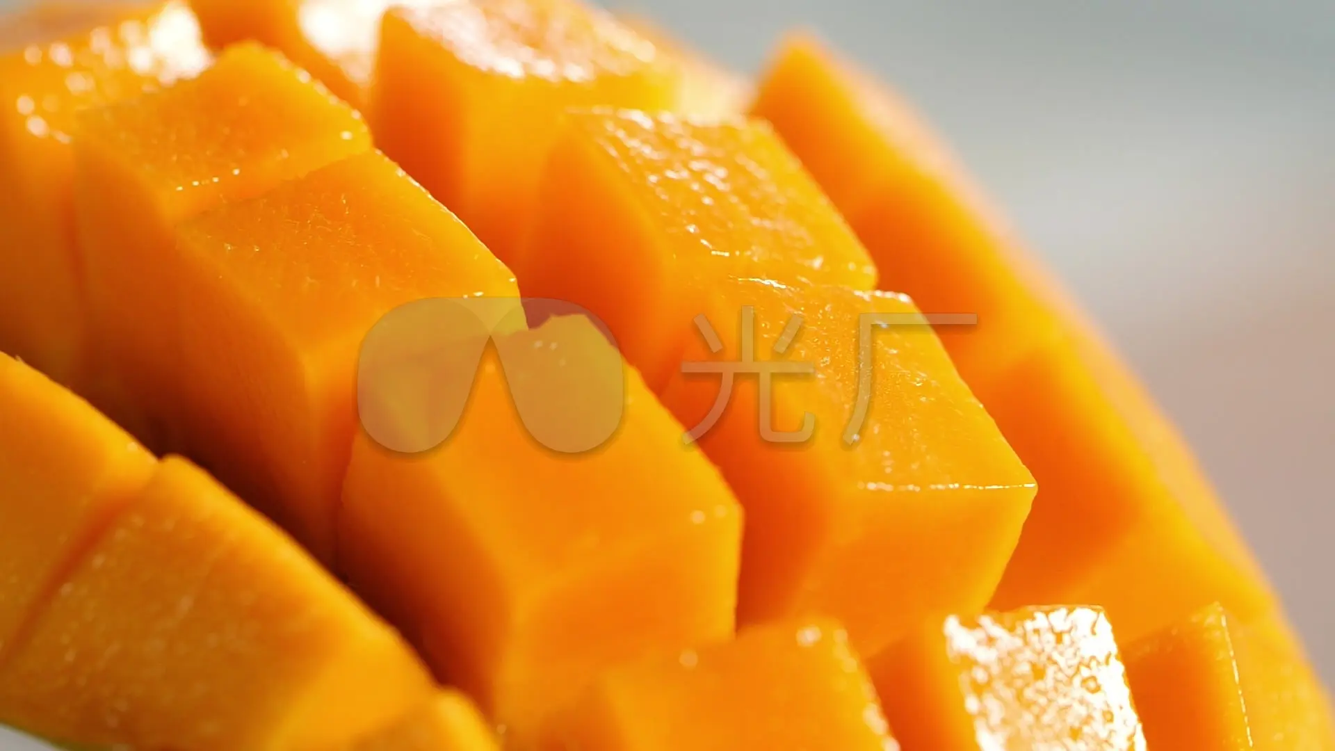芒果tv下载手机版2015款_芒果视频看片版下载_芒果tv手机版下载