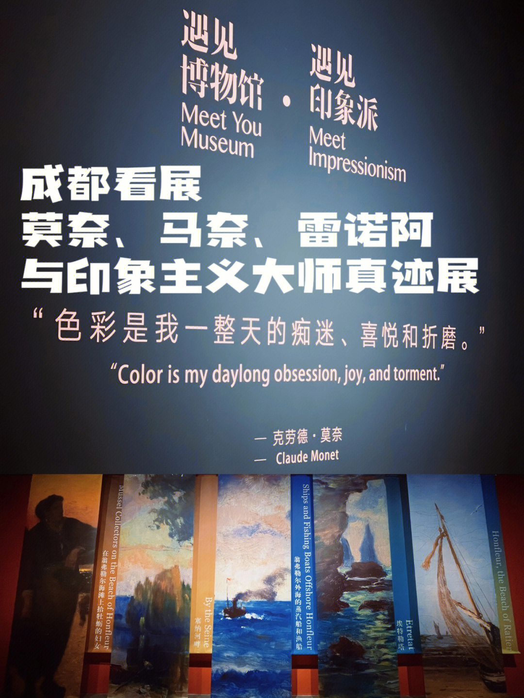 菲尔谢鸟_菲尔谢圣遗物搭配_谢菲尔