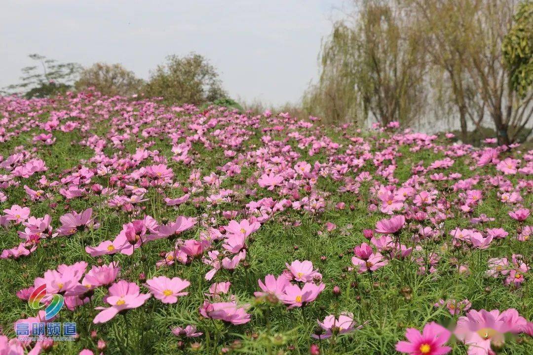 色婷婷基地_色香婷婷_婷婷色播网