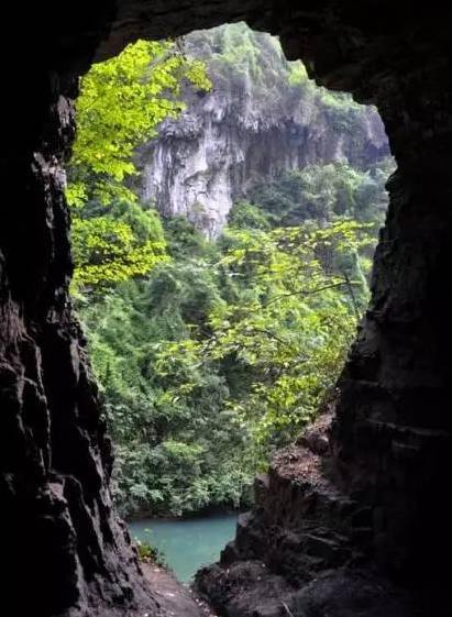 梦幻西游手游花果山加点_梦幻手游花果山加点贴吧_梦幻西游手游花果山加点方案