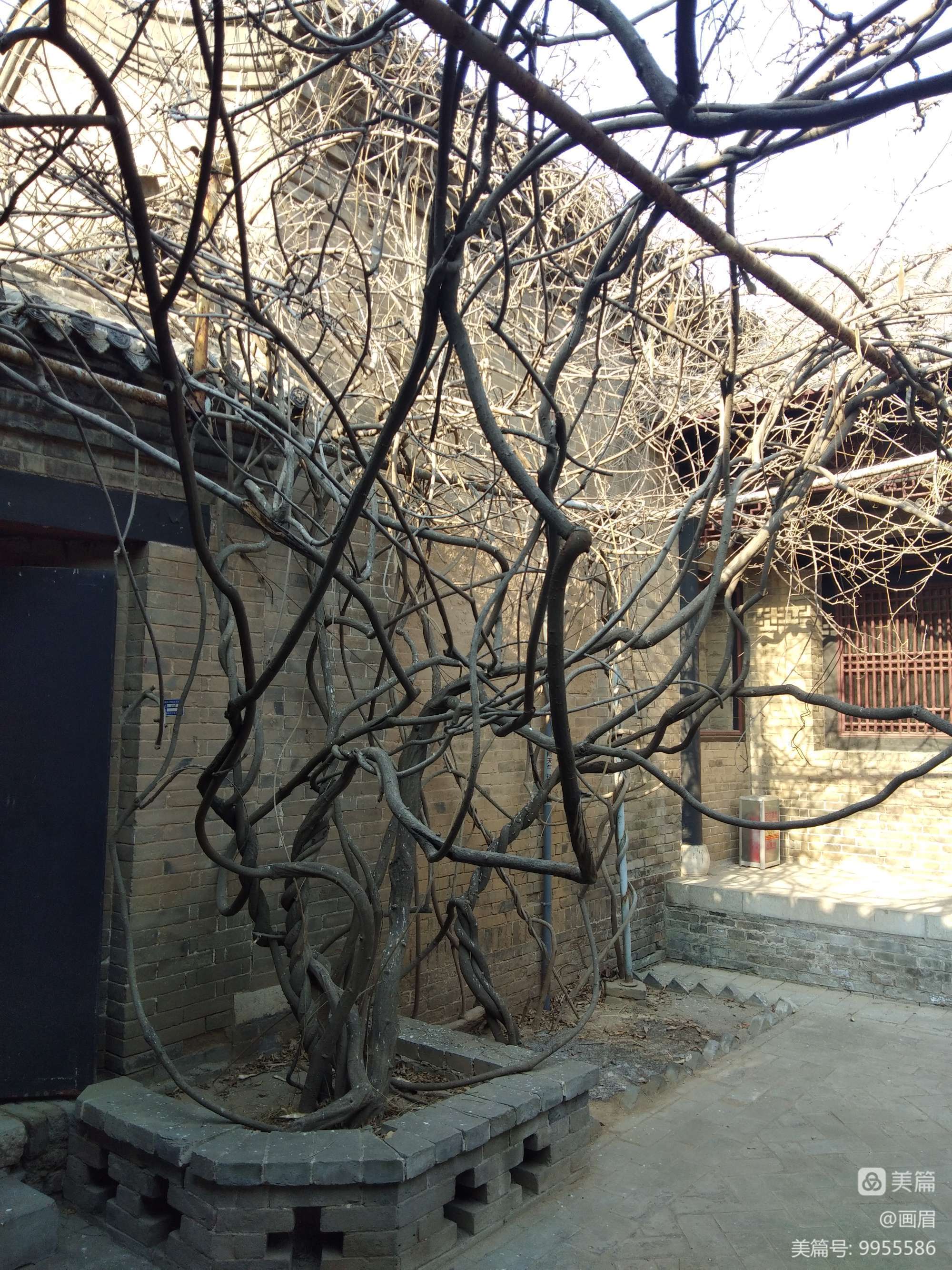 庄园神秘老人坐标_神秘庄园_庄园神秘老人在哪里