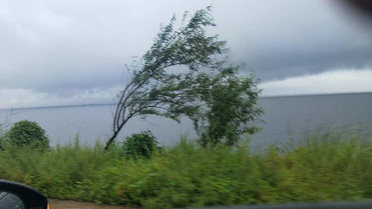 热带风暴风雨行动_热带暴风雨行动_热带暴风雨行动在