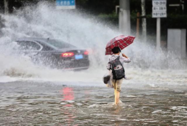 热带风暴风雨行动_热带暴风雨行动_热带暴风雨行动在