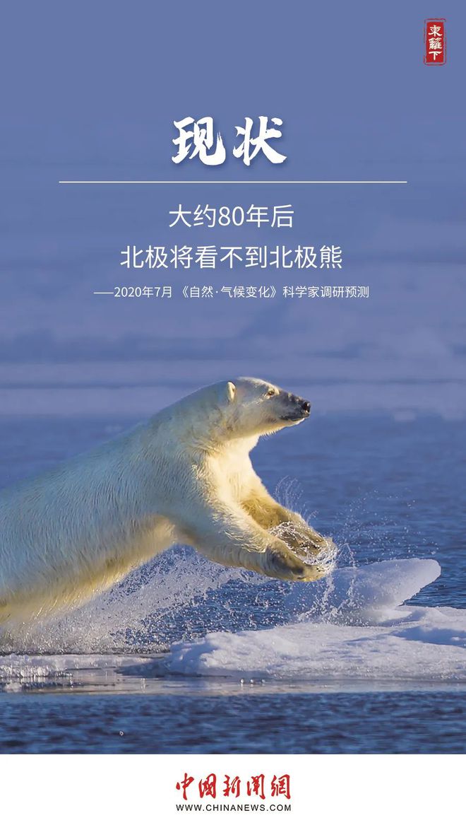 水熊_熊水忠_熊水龙