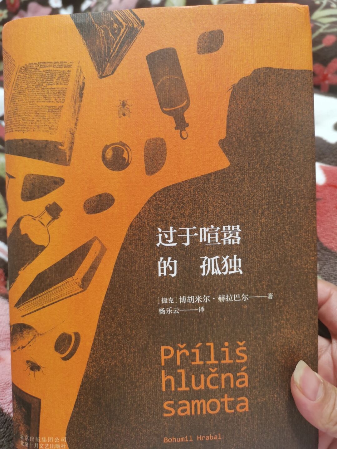 孤单的人歌是什么意思_孤单人孤单的歌歌词_孤单的人啊孤单的歌是什么歌