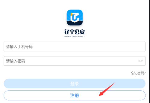 辽宁公安网app_辽宁省公安网上服务_辽宁公安网