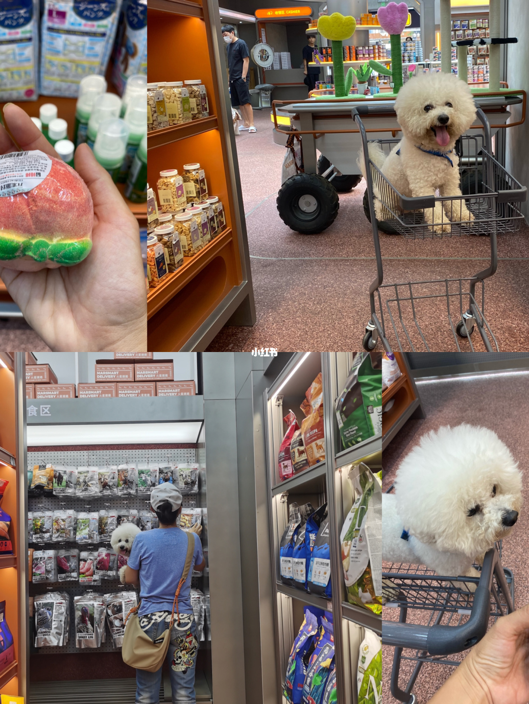 超市宠物店_超市宠物能进吗_宠物超市