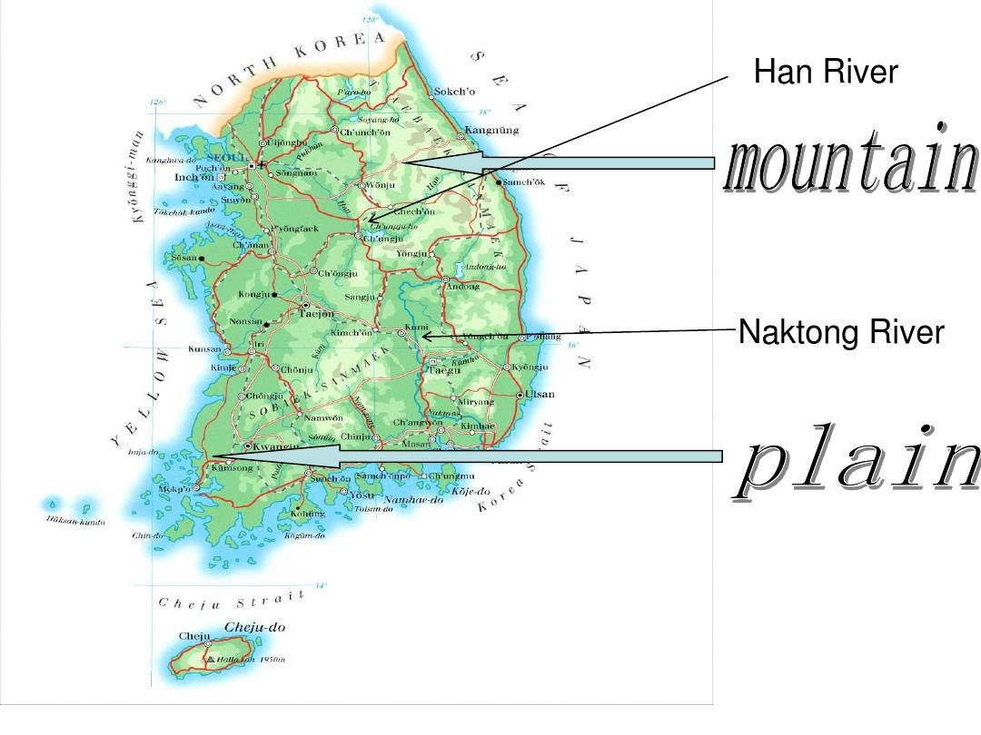 韩国国宝一号是什么_韩国国宝是什么动物图片_韩国五大国宝