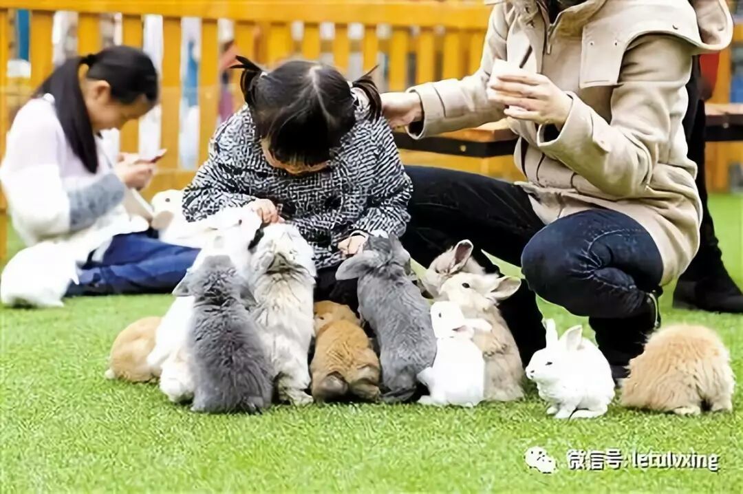 牧场物语矿石镇的伙伴们_牧场物语矿石镇的伙伴们_牧场物语矿石镇的伙伴们