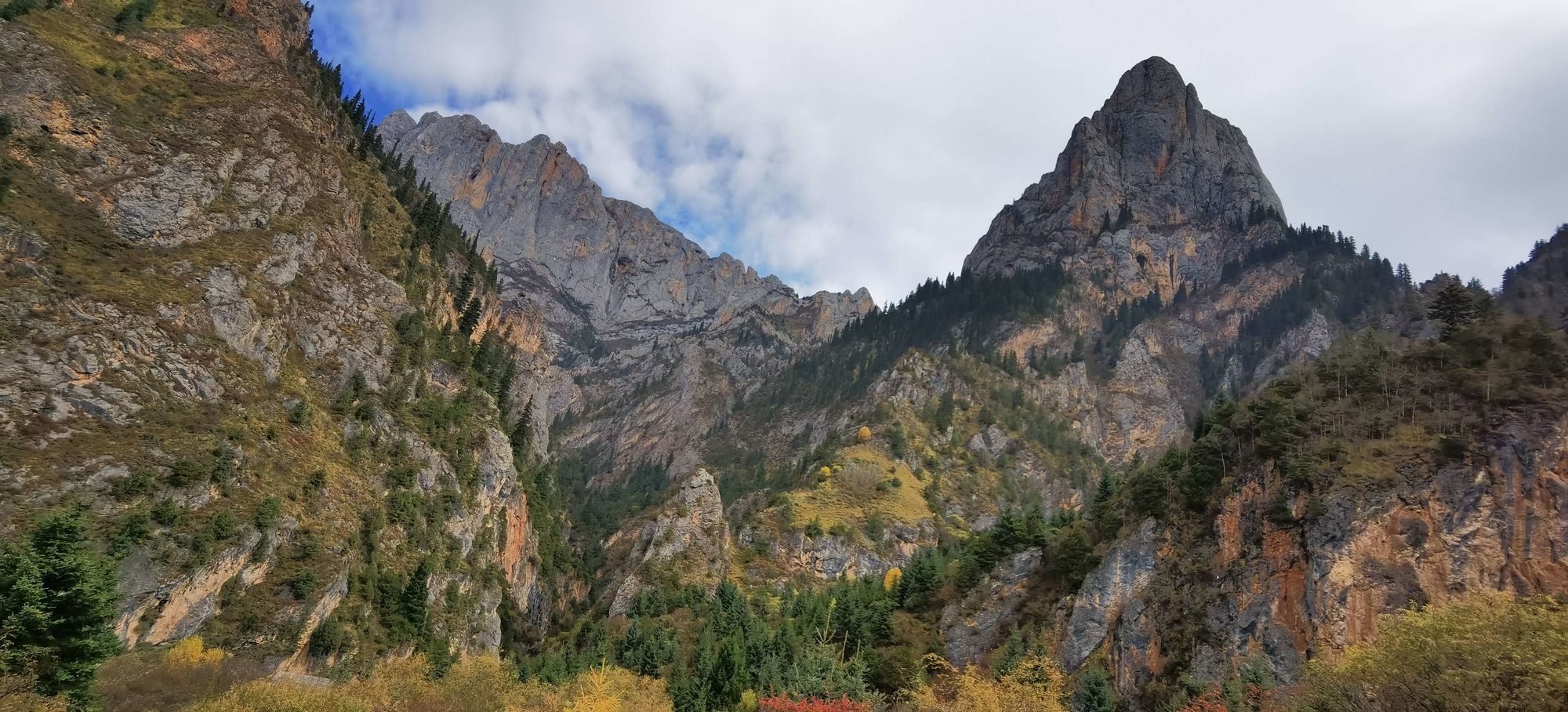 千岩_万语千岩小说_千岩牢固