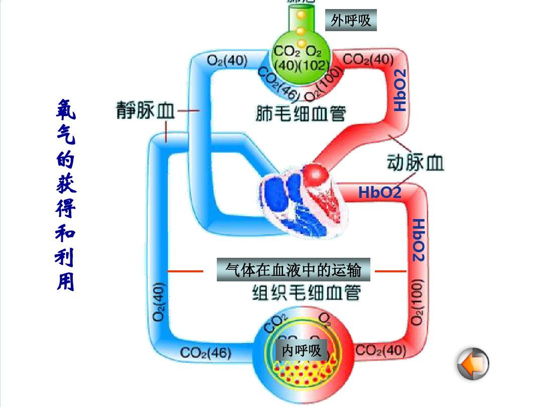 缺氧debug_缺氧debug生成火山_缺氧debug模式快捷键