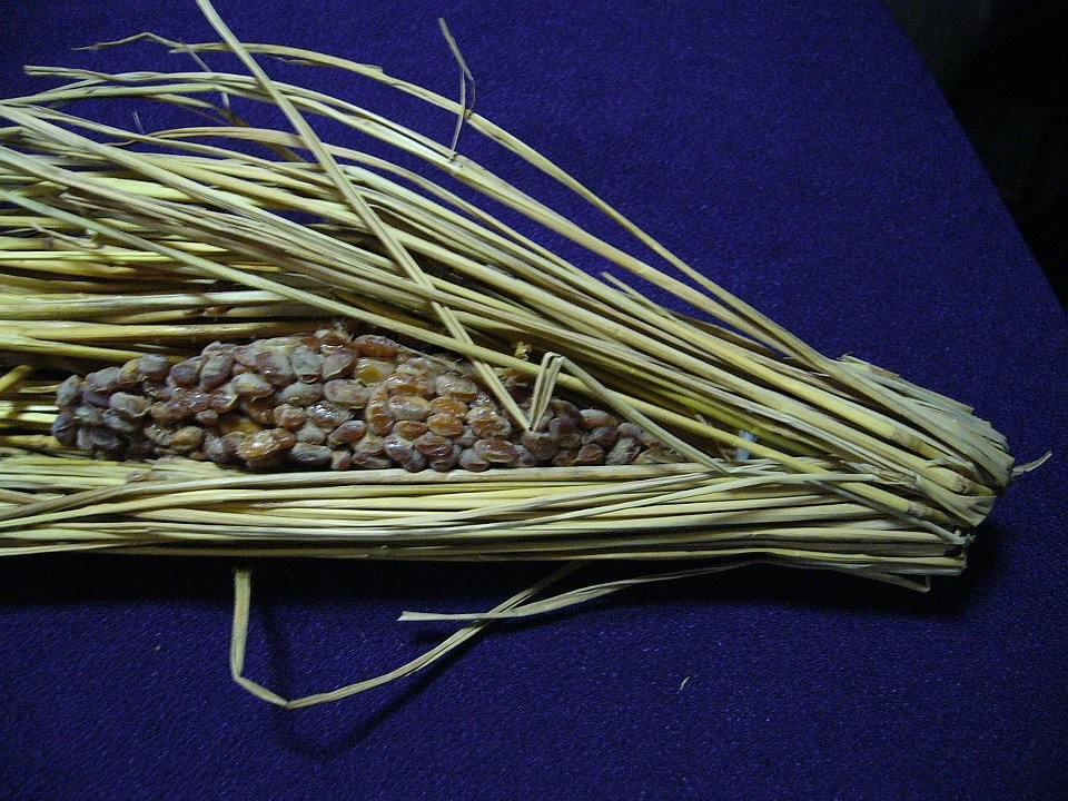 饥荒叶肉能做什么食物_饥荒叶肉_饥荒叶肉怎么做菜