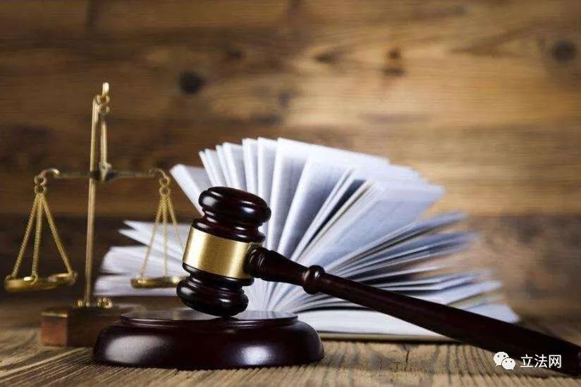 大逆转裁判语言_逆转裁判裁判长叫什么_大逆转裁判