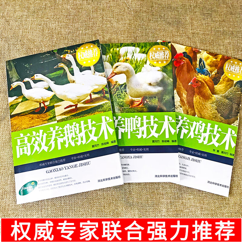 方舟饲料配方大全_方舟饲料合成_端游方舟饲料配方