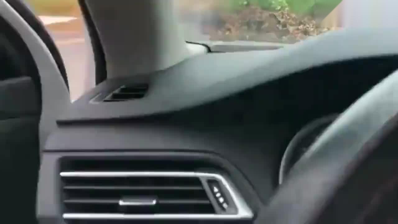 开车视频在线观看_黄色手机视频在线免费观看_观看在线av免费视频