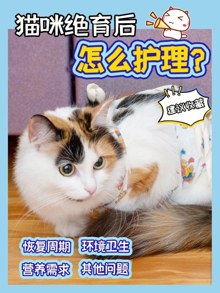 新版猫咪社区_新版app猫咪软件破解版_猫咪社区官方ios版