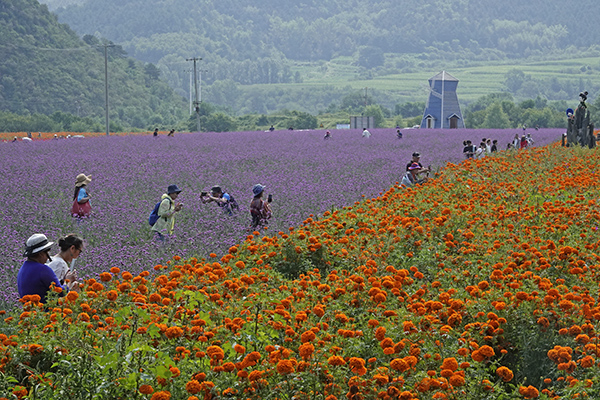 蜜萝_蜜萝_蜜萝