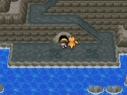 龙头地鼠配招_龙头地鼠性格配招_龙头地鼠