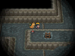 龙头地鼠配招_龙头地鼠性格配招_龙头地鼠