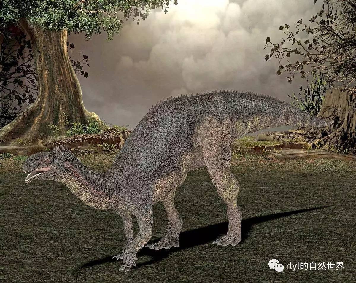 昆山小小恐龙_千灯小小恐龙_小小恐龙