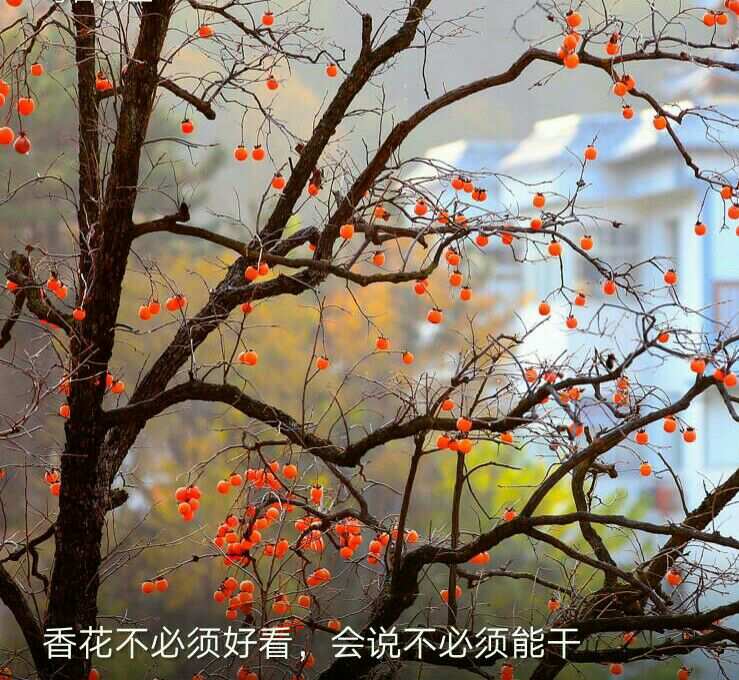 知足app官网_知足app官网_知足app官网