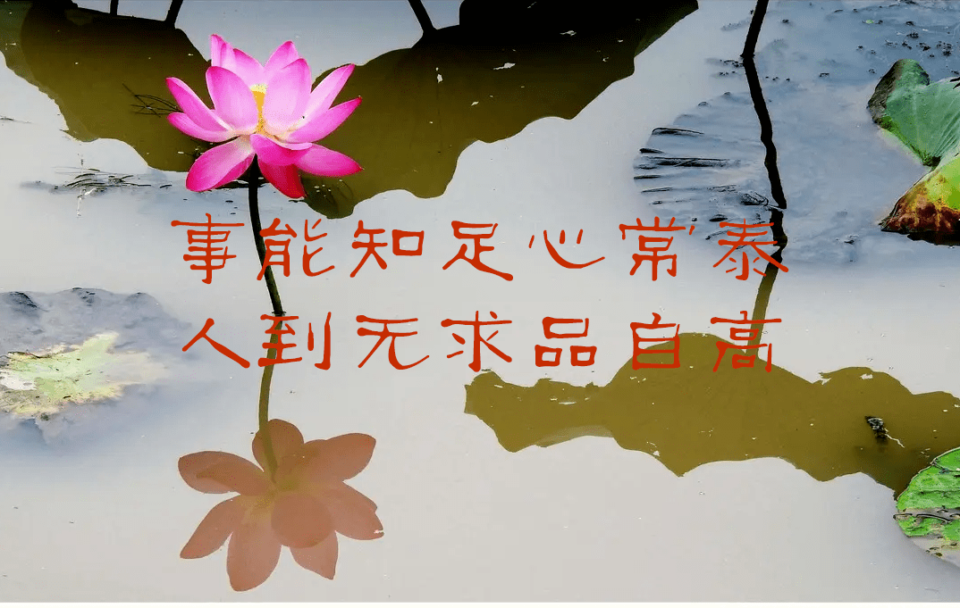 知足app官网_知足app官网_知足app官网