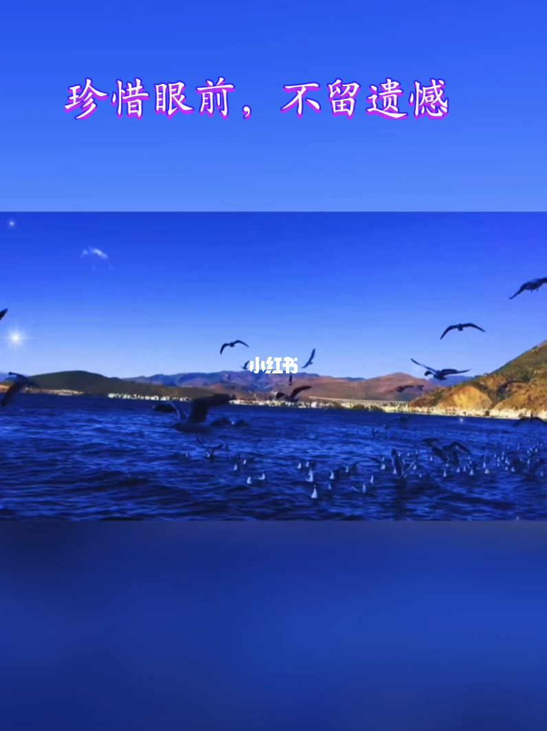 没来得及说抱歉你已经不在身边_来得及抱歉身边没说过的话_来得及抱歉身边没说话的句子