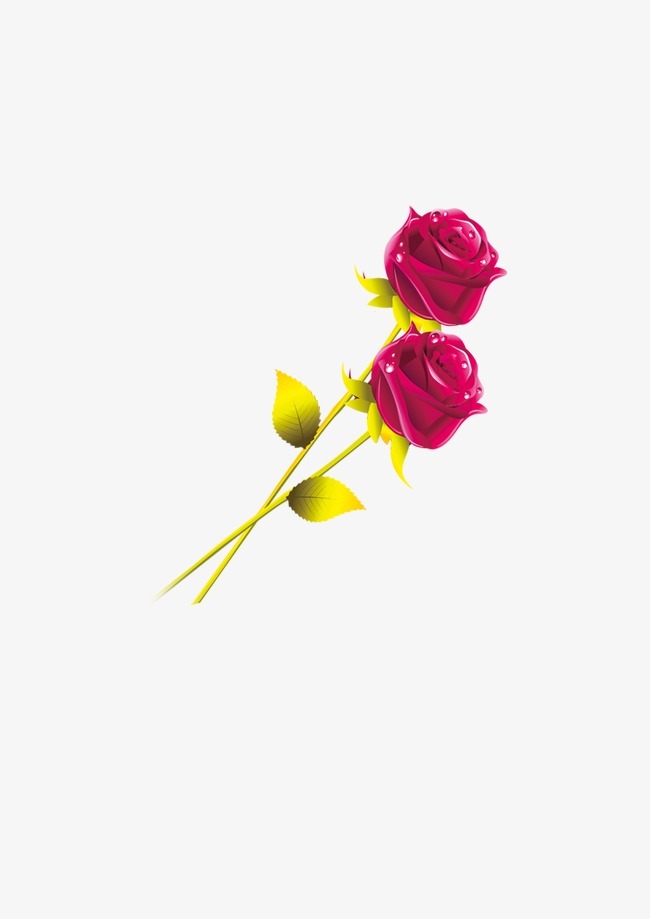 疾花体字_花疾_疾花空间
