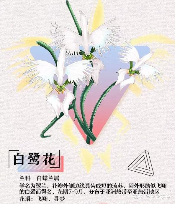 疾花空间_花疾_疾花体字