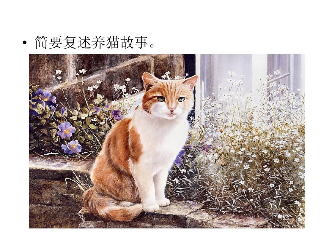 七猫免费小说网_七猫免费小说网_七猫免费小说网