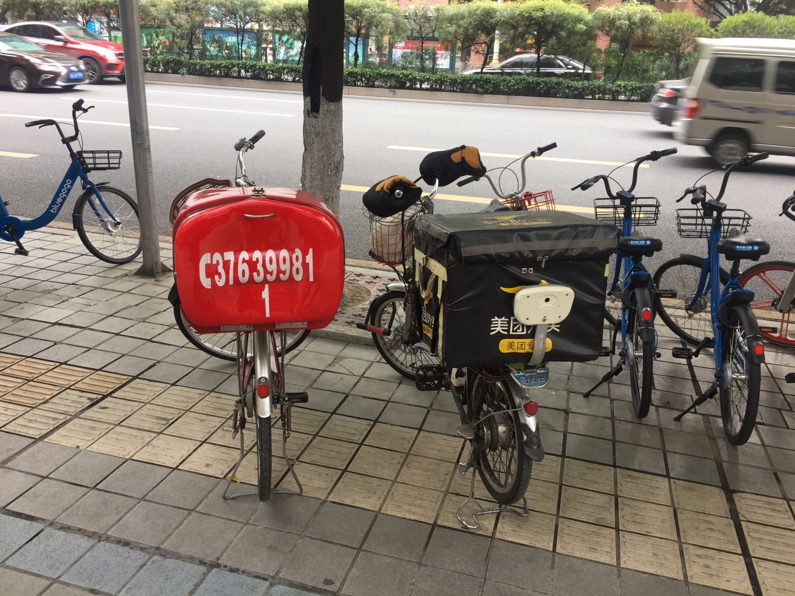 可拉可拉_可拉后裔是谁_可拉可拉