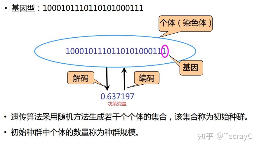 算法仿生特点有哪些方面_仿生算法的特点有_算法仿生特点有哪些