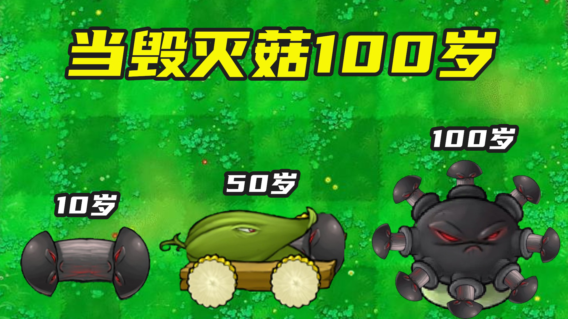 毁灭菇的坑多久恢复_毁灭菇_毁灭菇的攻击范围
