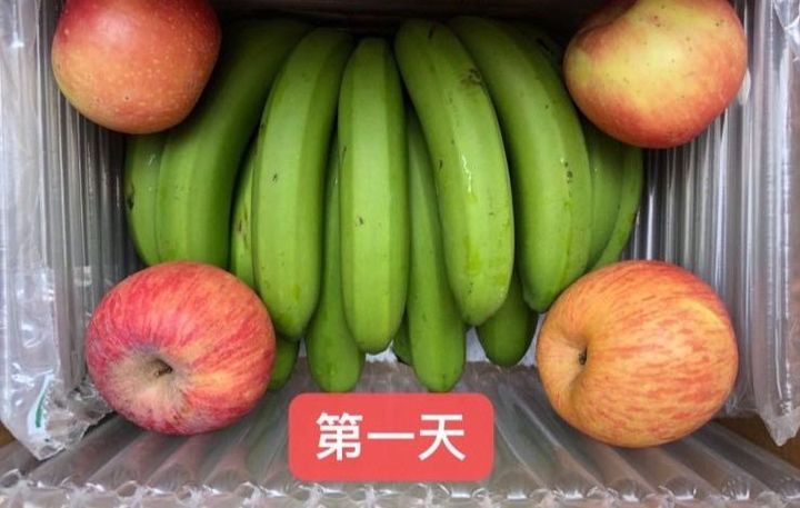 香蕉和芭乐_香蕉芭乐丝瓜茄子绿巨人草莓_香蕉茄子向日葵绿巨人