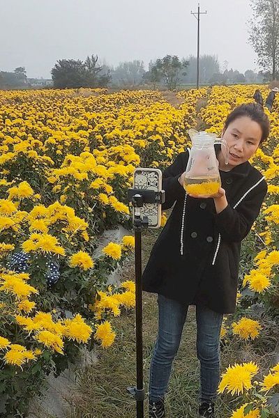 菊花直播app赚钱是真的吗_菊花直播_菊花直播话术