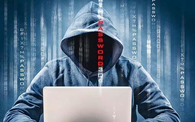 闪客快打5官网_闪客2_闪客官网