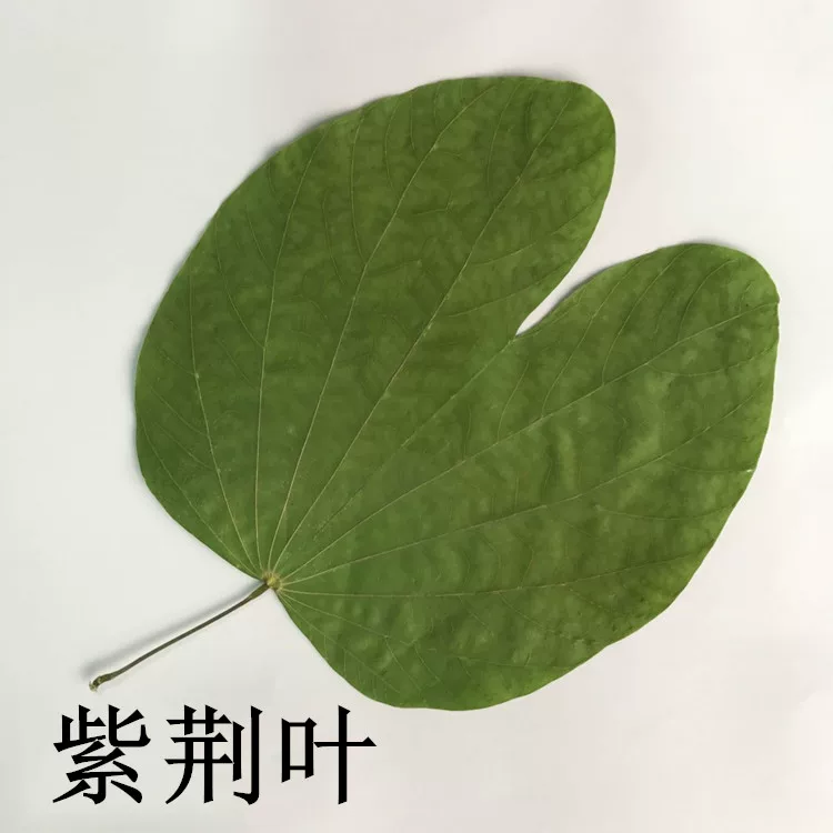 采药_采药1-375攻略部落_采药女的蛇相公笔趣阁