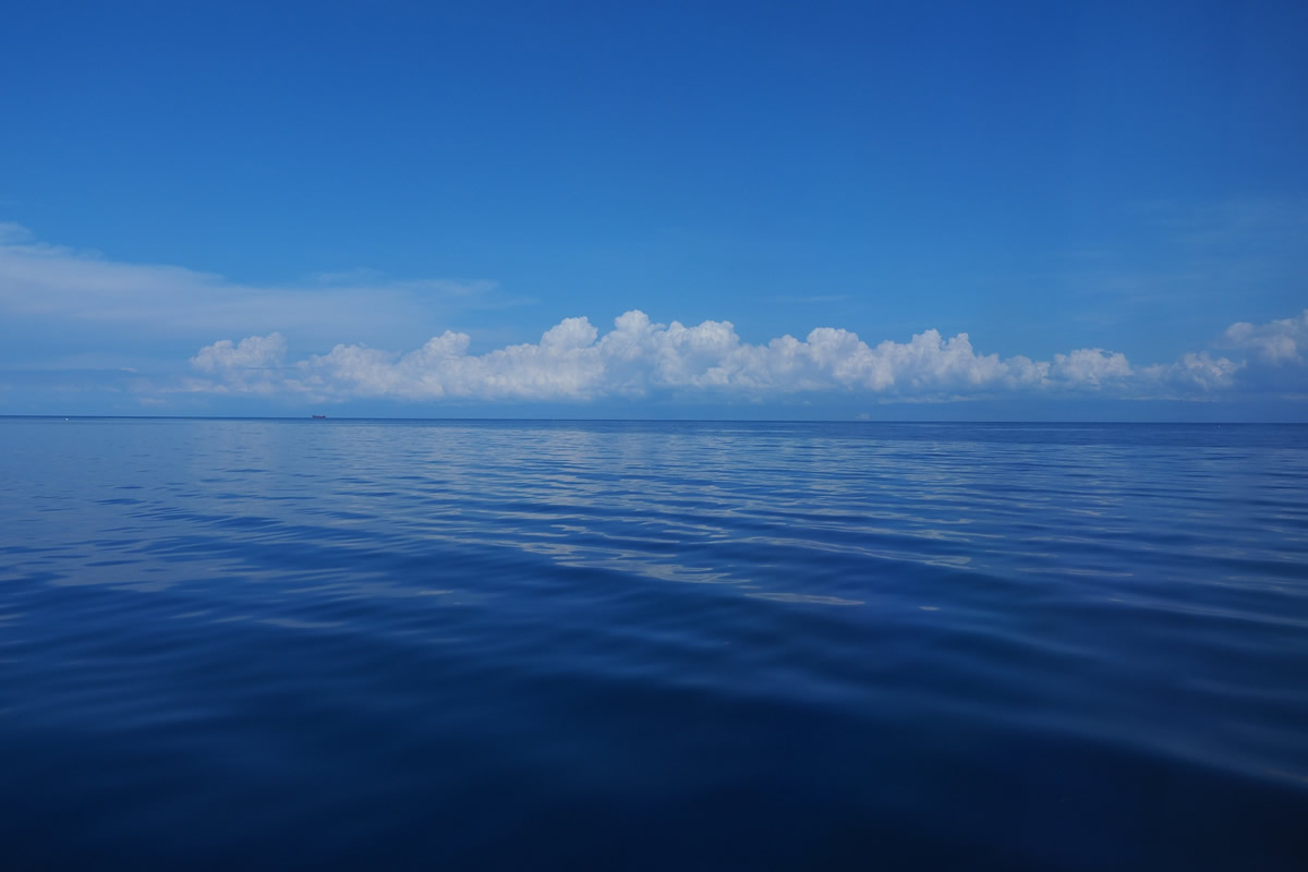 海洋音乐_海洋音乐集团_滚动的天空海洋音乐