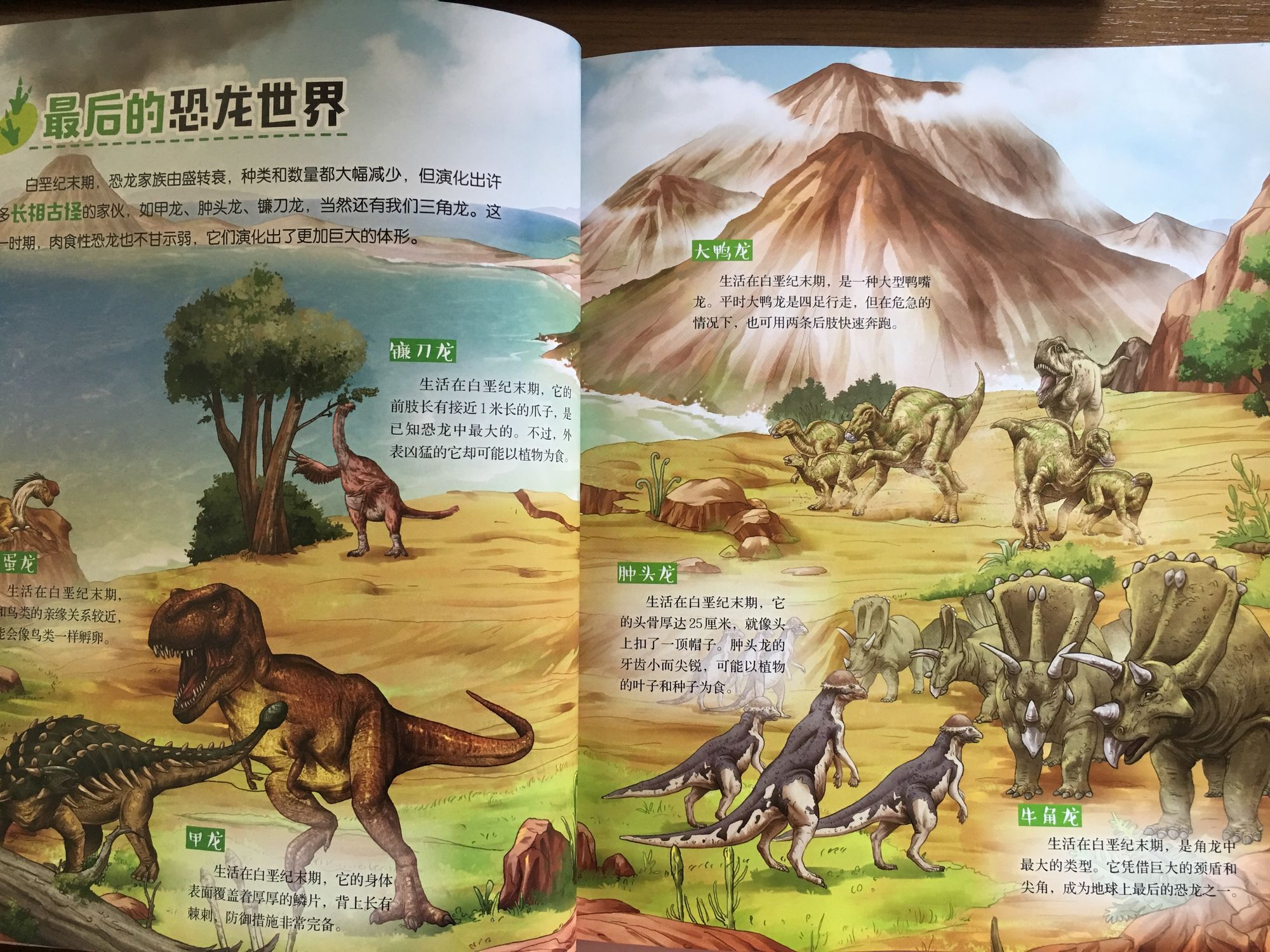 疯狂恐龙游戏_疯狂恐龙岛秘籍怎么用_疯狂恐龙岛
