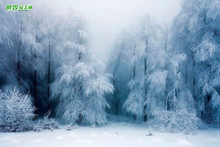 雪童子怎么进化成雪妖女_雪童子_雪童子云之羽