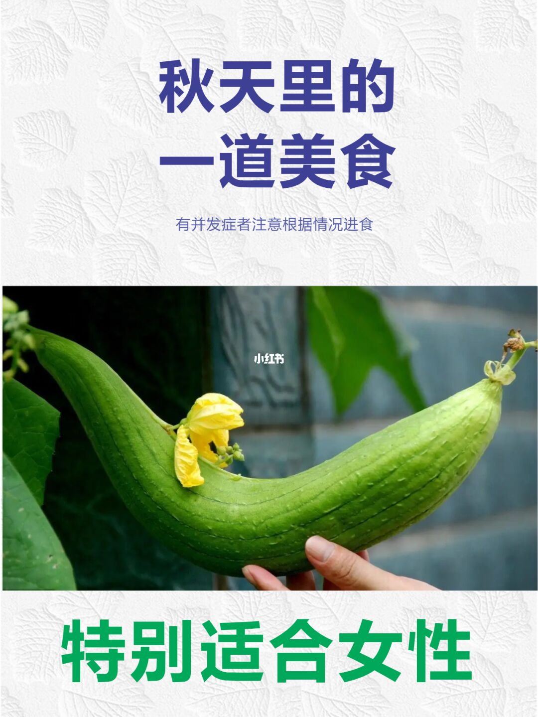 3d版色情啊凡达下载_色久久色视频迅雷下载_丝瓜视频色版下载