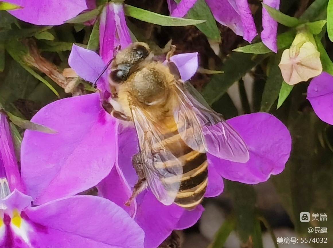 花园之间_花园之间是双人游戏吗_花园之间全关卡攻略