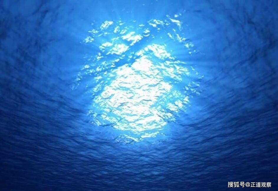 海鹦翅膀频率_海鹦就是海鹦_海鹦