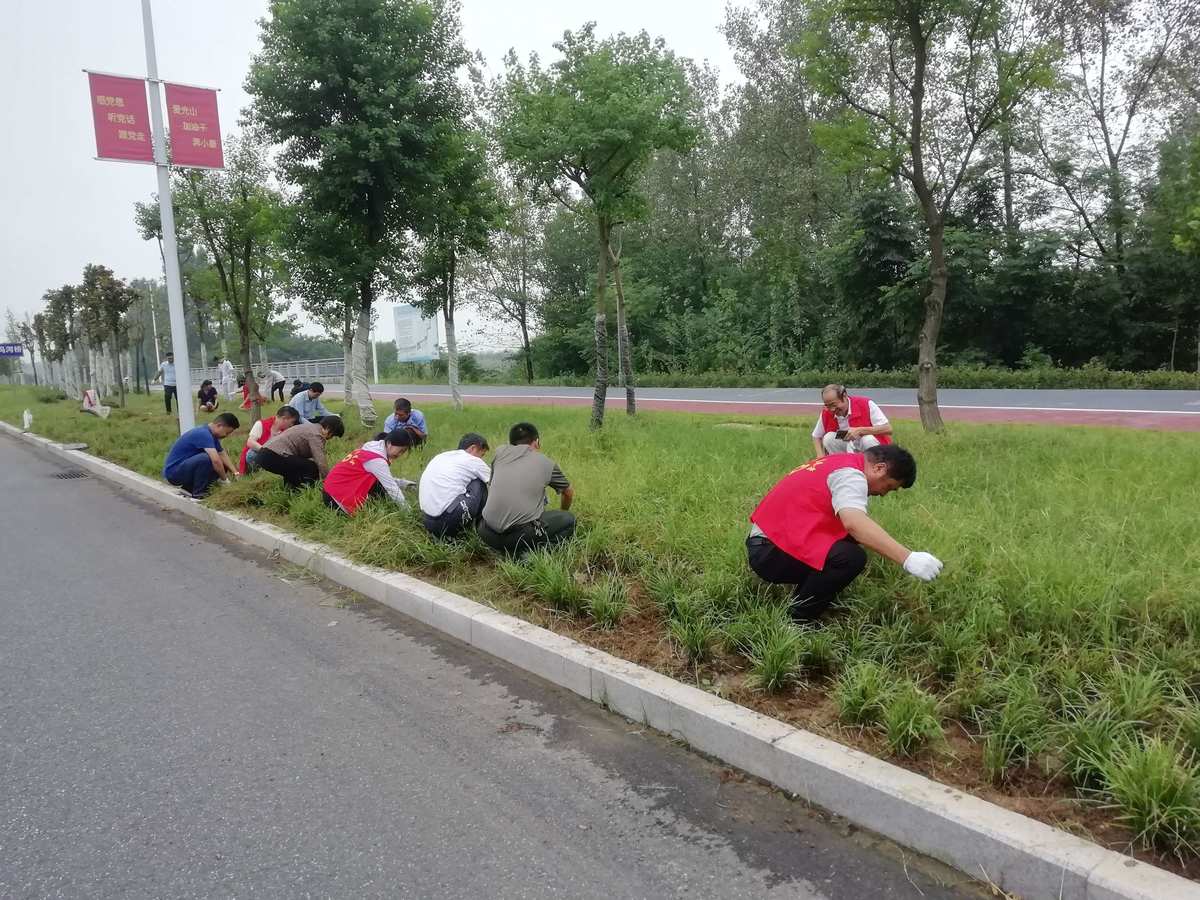 征途绿色版手游_征途绿色装备怎么变成紫色_征途绿色