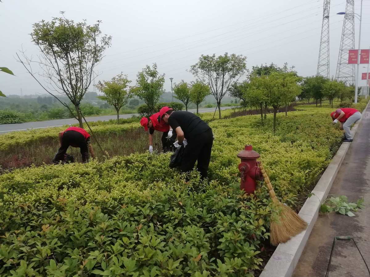 征途绿色_征途绿色装备怎么变成紫色_征途绿色版手游