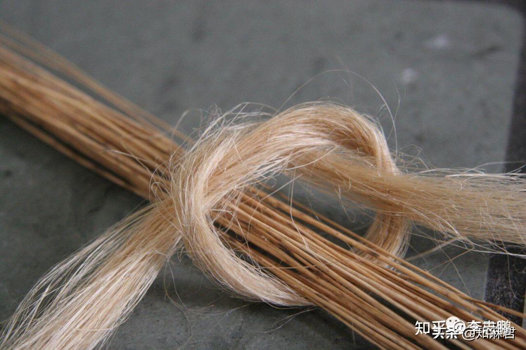 薇古丝_薇古丝_薇古丝