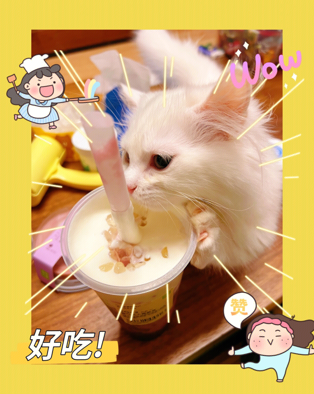 电视猫官网apk_快猫apk_电视猫apk