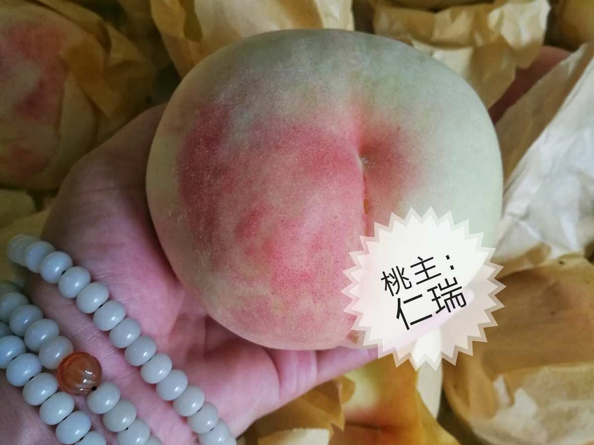 水蜜桃视频下载方法_水蜜桃视频下载方法_水蜜桃视频下载方法